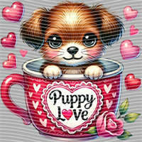 Valentine's Day-QRJ  2057